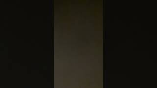 IMG 2526