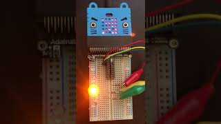 Celebrity Adafruit DragTail micro:bit Traffic Light Net Worth