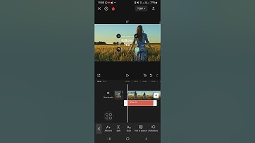 Motion Tracking Tutorial | How to Track a Moving Object with Text on CapCut Mobile
