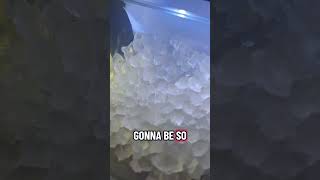 Upping our ice game with the nugget ice