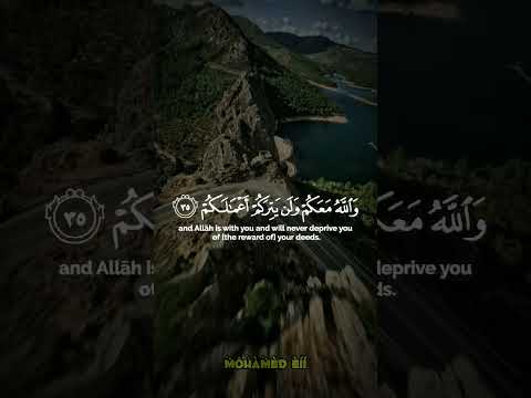 فلا تهنوا وتدعوا إلى السلم وأنتم الأعلون والله معكم سورة محمد