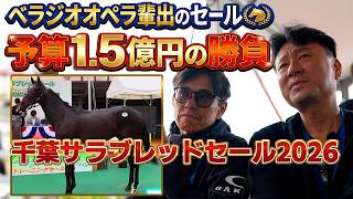【1.5億円の決断】馬主の隣で見た、セリ当日の信じられない光景【完全密着】