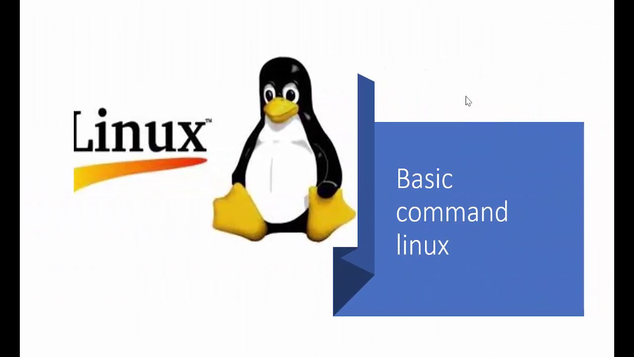 คํา สั่ง linux  2022 New  ทำความรู้จักคำสั่งพื้นฐาน Linux File Directory