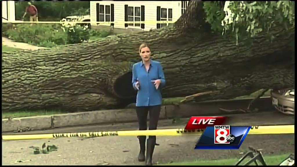 Cleanup begins after storm damages homes in York