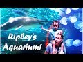 MYRTLE BEACH FUN! Ripley's Aquarium and Giant Candy Store!