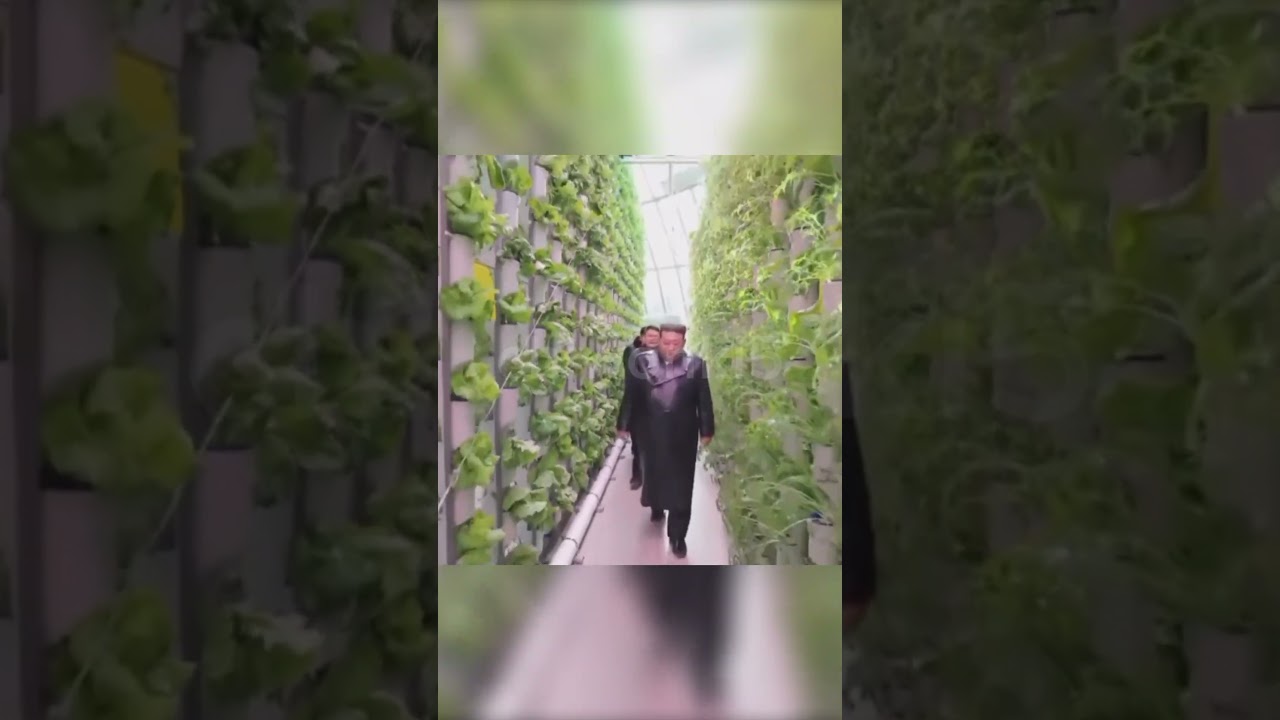 Kim inaugurated the Farem greenhouse in Sinuiju. 