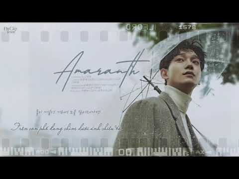 [Vietsub | Lyrics] CHEN (첸) – Amaranth (고운 그대는 시들지 않으리)