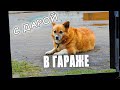 С Дарой в гараже или гаражный бардак.