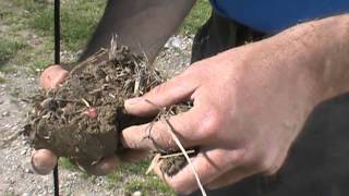 Sidewall Compaction Tips