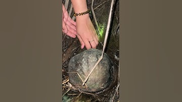 Bắt ốc đêm phát hiện ra chuyện hú hồn #shorts