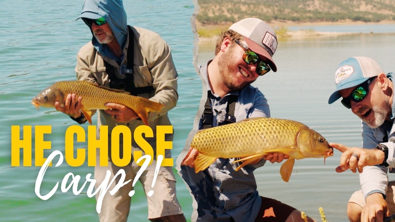 He Left World-Class Trout… to Chase Carp?