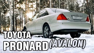 ЛУЧШЕ чем КАМРИ! Toyota PRONARD / AVALON