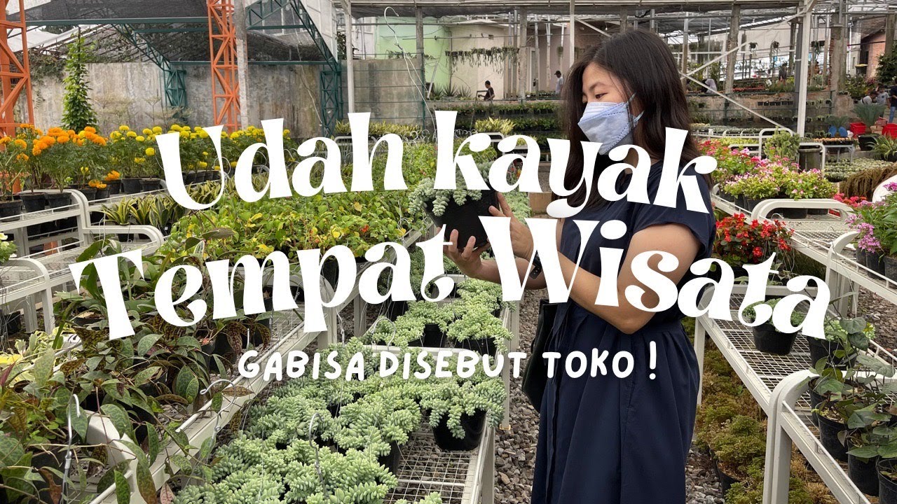 Kayak Pergi Wisata Tanaman Hias 🌸Toko Mitra Flora Nusantara