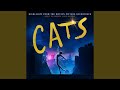 The rum tum tugger from the motion picture soundtrack cats
