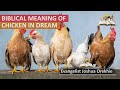 Biblical Meaning of CHICKEN in Dream - Find Out The Spiritual Meaning And Interpretation
