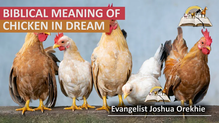 Biblical Meaning of CHICKEN in Dream - Find Out The Spiritual Meaning And Interpretation - DayDayNews