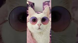 Christmas day per tuton ki chutti krli #viral #cat #aestheic #funny #comedy #Christmas day #trending