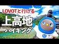 【 上高地 】 LOVOTと一緒に 上高地 でハイキングしてみた!#LOVOTとの暮らし