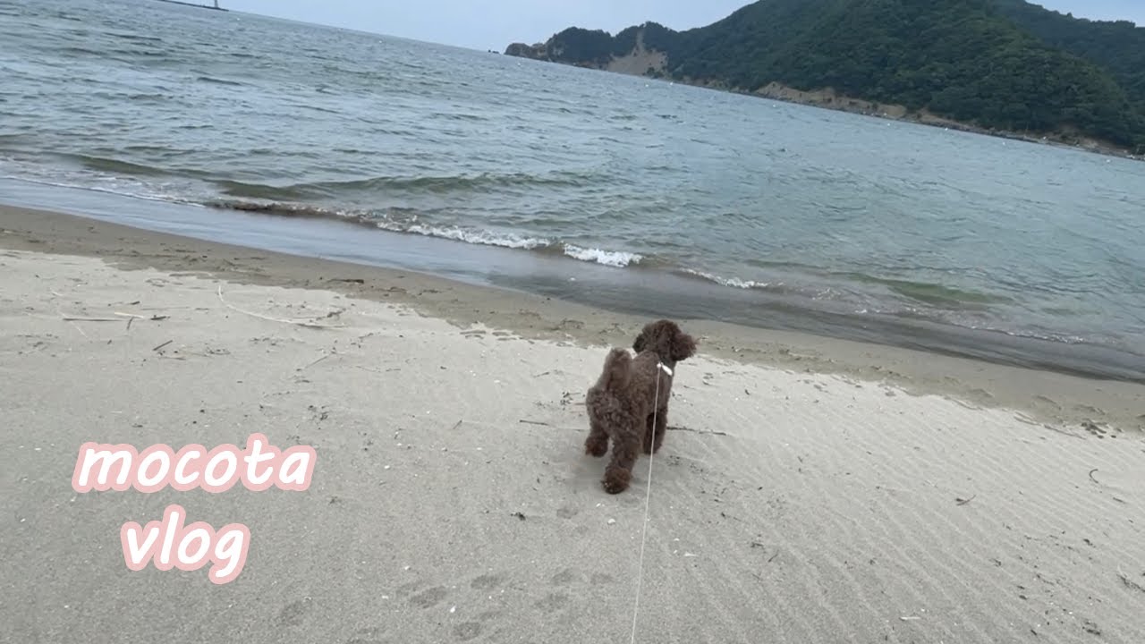 〔VLOG〕愛犬と行くヒーリング旅行