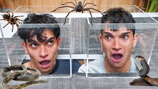 LAST TO LEAVE SCARY BOX WINS $10,000