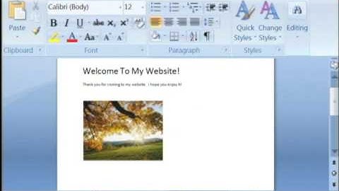Microsoft Excel, SQL & Internet Tips : How to Create Your First Web Site