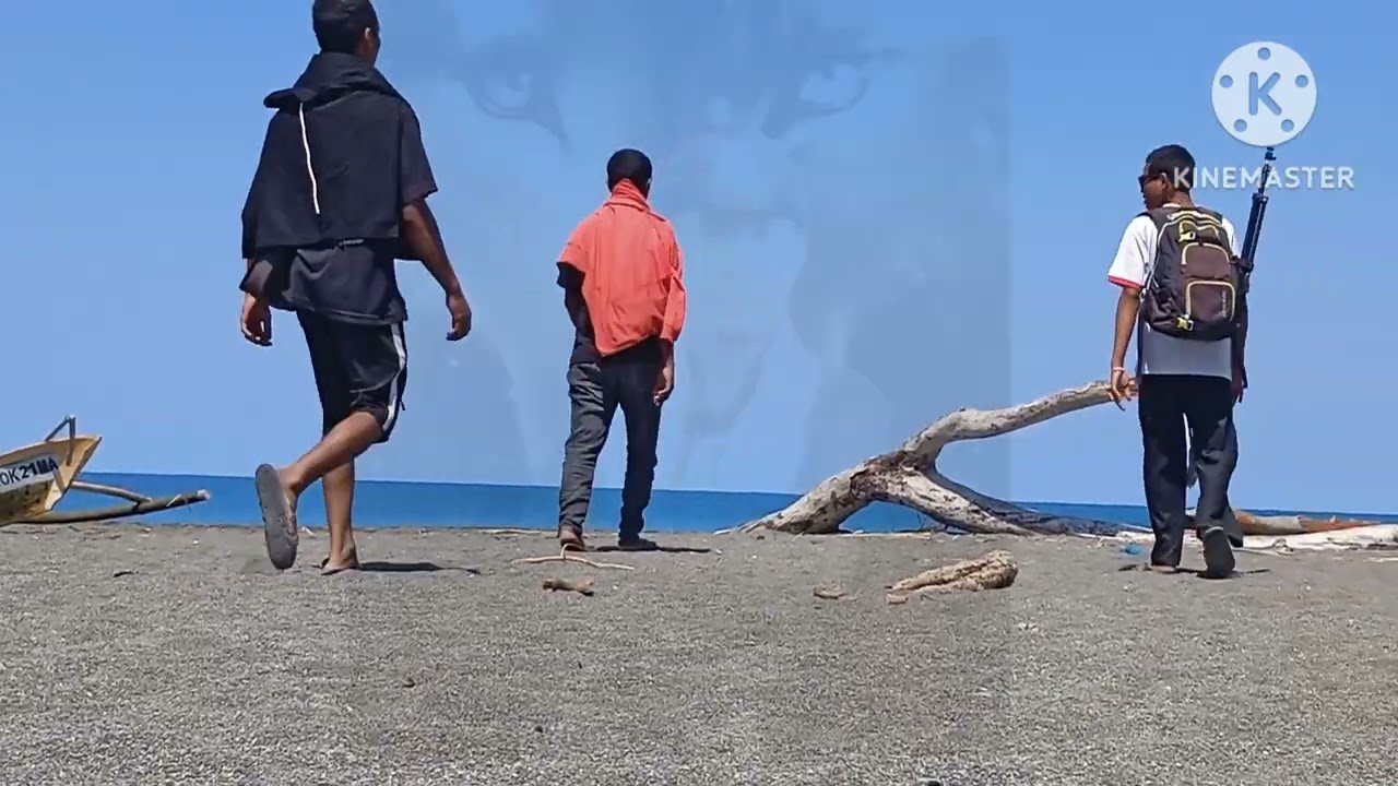 video psht tl by caffu