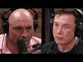 Joe rogan  elon musk on artificial intelligence