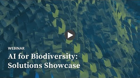 AI for Biodiversity: Solutions Showcase