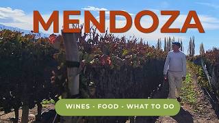 Mendoza, Argentina Travel: 5 Days on the Wine Trail