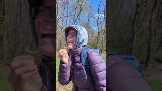 Spring Wildflower Hike With Naturalist