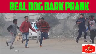 Real dog bark Funny prank, funny video #shorts #funnyshorts screenshot 5
