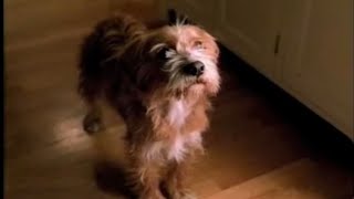 Bud Light Chow Down Super Bowl Commercial 2001