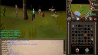 how to get 99 mage in 3 days