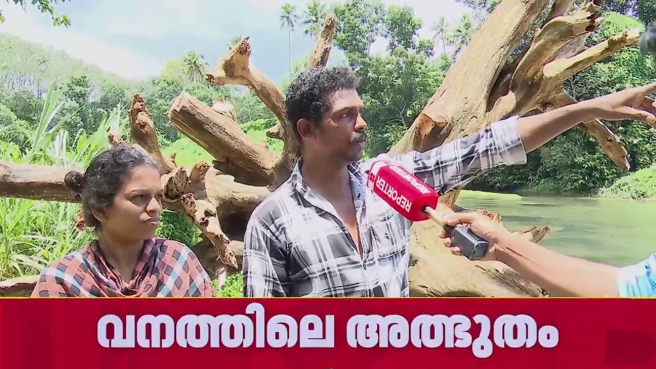 പൊന്മുടിയിലേക്ക് യാത്ര പോകുന്നവരുടെ ശ്രദ്ധയ്ക്ക്; ഇവിടെയൊരു കിടിലം സ്ഥലമുണ്ട് | Ponmudi Hills