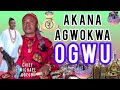 Chief Michael Udegbi Akana Agwokwa Ogwu 