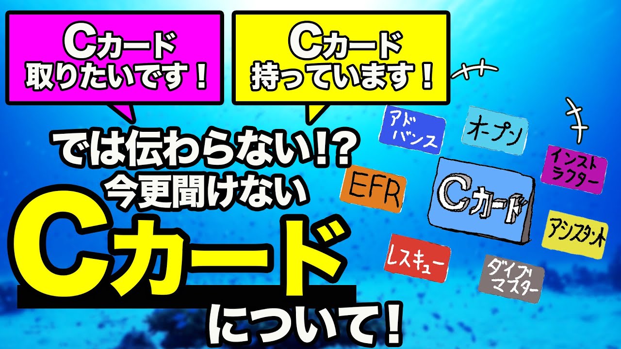 30mのホースが付いたBC❗️Cカードを持っている方にしかお譲り出来