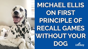 Michael Ellis on First Principle of Recall Games Without Your Dog