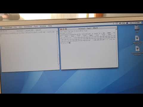 TCP/IP Socket Buffer Overflow with execve //bin//sh shell-code. Charles Truscott. Byron Bay 2481