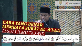 Cara Yang Benar Membaca Surat Alalaa Sesuai Ilmu Tajwid ustadz Hardi Damri Lc Mh