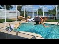 Throwing my Girlfriend in the Pool! (Revenge Prank)