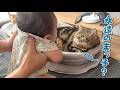 赤ちゃんに末っ子の座は譲れない甘えん坊猫が可愛い!