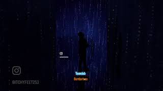 Teamlab Borderless - Tokyo