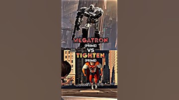 Megatron vs Tighten