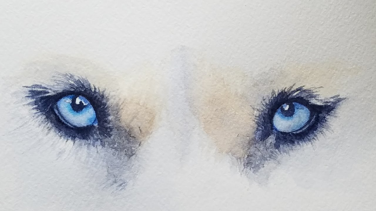 face dog draw to how YouTube Husky Watercolor    How in Dog Paint  Eyes to Blue