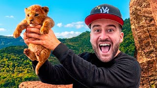 Ha Nacido El Rey LEÓN