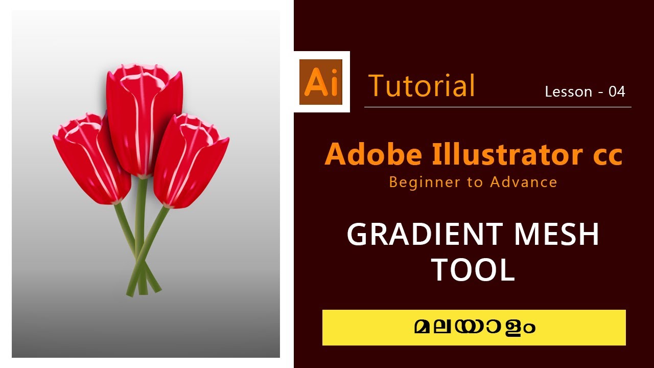 How to apply a Gradient Mesh Tool in Adobe Illustrator | Malayalam ...
