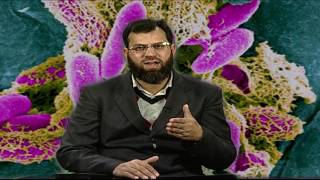 TRANSPOSONS IN MUTATION I