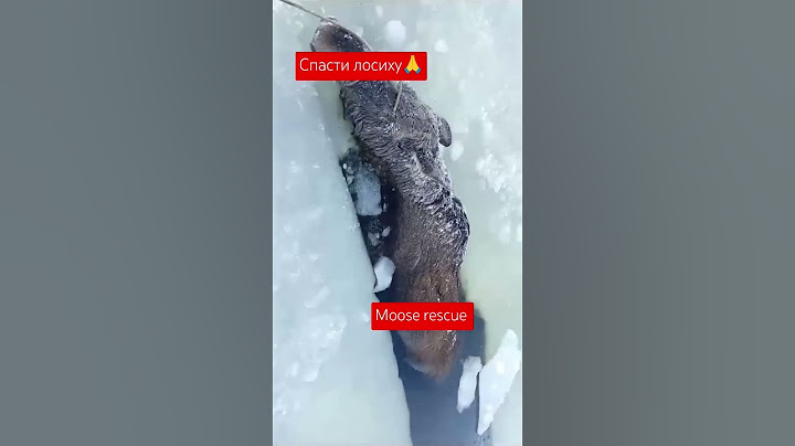 Рыбаки не смогли пройти мимо!