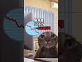 椎茸工場勤務でコツコツ貯めた500万円が15分で…【猫ミームでFX有名スレ再現】#shorts #猫ミーム #猫meme