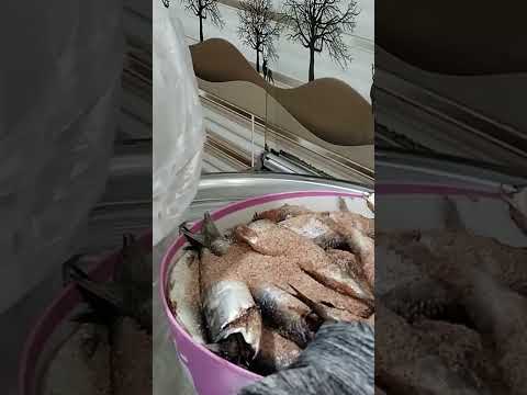 رحنا للقران اللهم صل وسلم على نبينا محمد الله محمد ربح تيك توك يوتيوب لايك متابعه اشتراك